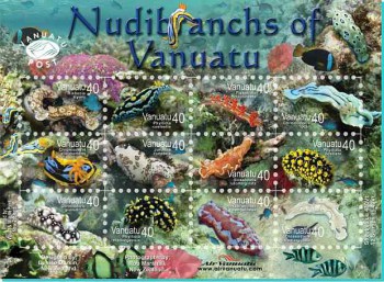 Nudibranch Vanuatu